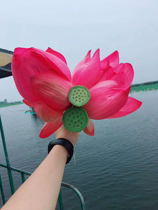 骨密度仪生产厂家 九月我们骑行在路上