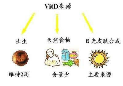 微量元素分析仪厂家告诉您想减肥这个微量元素不能缺