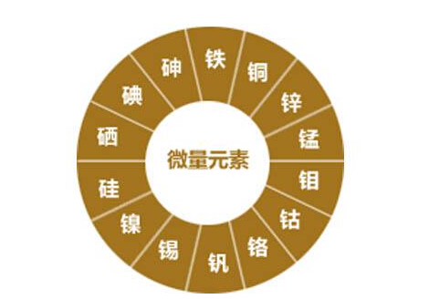 微量元素与人体健康小元素大作用人体必不可少的微量元素 微量元素与人体健康小元素大作用人体必不可少的微量元素