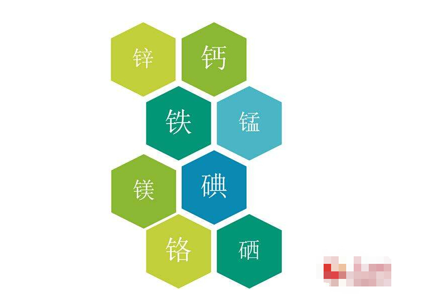 微量元素与人体健康小元素大作用人体必不可少的微量元素 微量元素与人体健康小元素大作用人体必不可少的微量元素
