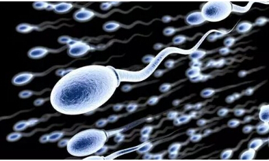 精子是产生孩子的，母乳为养
