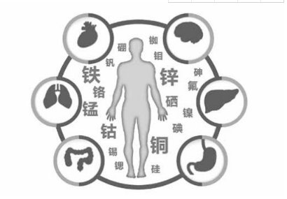 微量元素分析仪这种微量元素被誉为“生命之花”呵护孩子健康成长 微量元素分析仪这种微量元素被誉为“生命之花”呵护孩子健康成长