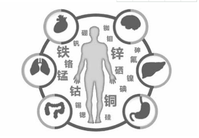 微量元素分析仪这种微量元素被誉为“生命之花”呵护孩子健康成长