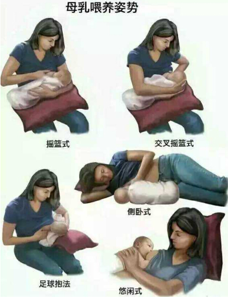 母乳分析仪生产厂家新妈妈在母乳喂养时,可以采取不同的姿势 母乳分析仪生产厂家新妈妈在母乳喂养时,可以采取不同的姿势