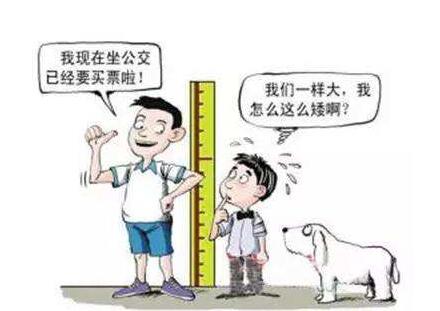 骨密度仪最好品牌的仪器能够预测骨骼发育情况判断孩子未来身高 骨密度仪最好品牌的仪器能够预测骨骼发育情况判断孩子未来身高