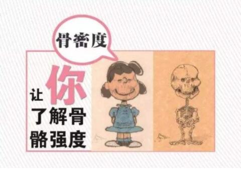 骨密度仪器原理及使用注意事项的讨论对骨密度检查工作起到参考和借鉴意义 骨密度仪器原理及使用注意事项的讨论对骨密度检查工作起到参考和借鉴意义