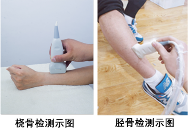 在医院用骨密度检测仪检测什么部位能够准确检测骨密度正常值 在医院用骨密度检测仪检测什么部位能够准确检测骨密度正常值