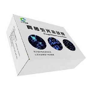 真菌荧光染色液厂家