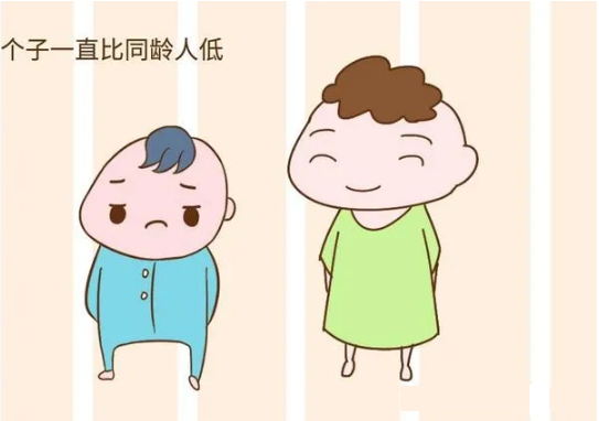 便捷式骨密度检测仪生产厂家 超声便捷式骨密度检测仪