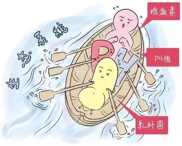 508gk女性阴道分泌物检查,检查什么?如何检查?山东国康阴道分泌物分析仪