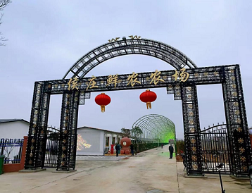 山东国康国庆假期团建活动培养团队协作精神增强集体荣誉感