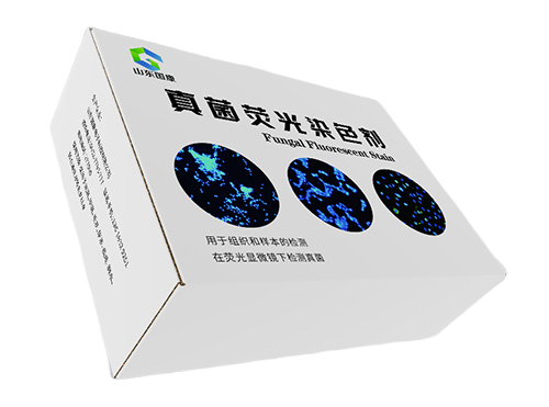 真菌荧光染色液